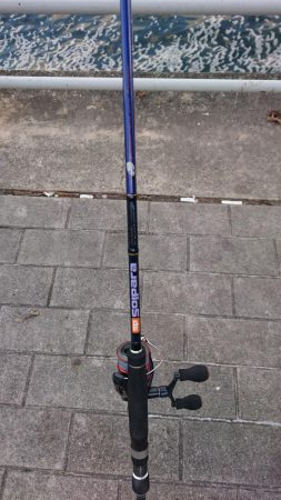 南港タチウオほぼいてない