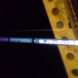 タチウオ釣果 不調続き・・・