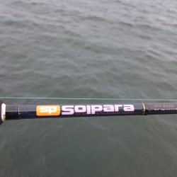 タチウオ久々のプチ遠征