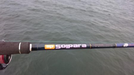 タチウオ久々のプチ遠征