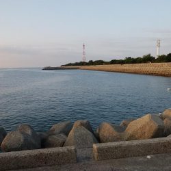 妻鹿へキス釣査