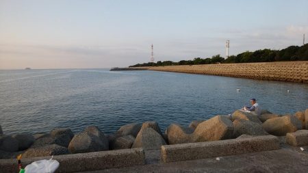 妻鹿へキス釣査