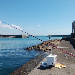 ハゼが入れ食い