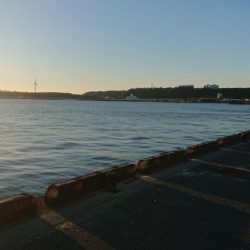 常夜灯はパラダイス