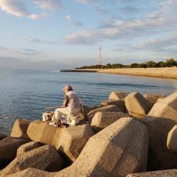 キス調査しました