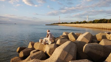 キス調査しました