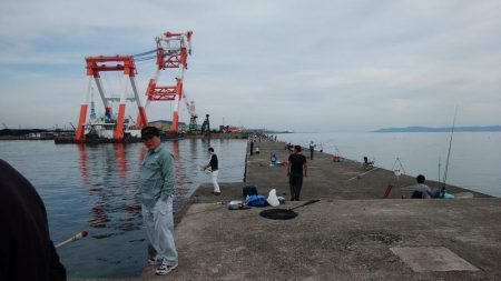 播磨新島に秋ギスの気配