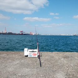 播磨新島でキス狙い