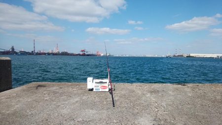 播磨新島でキス狙い