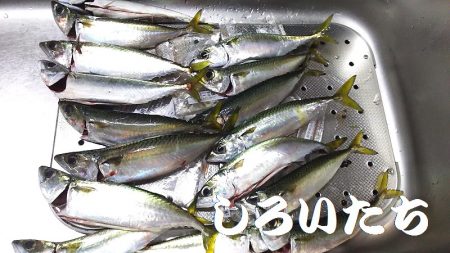 ナイスバディのタチウオ釣れた。