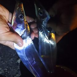 最初はよかった。