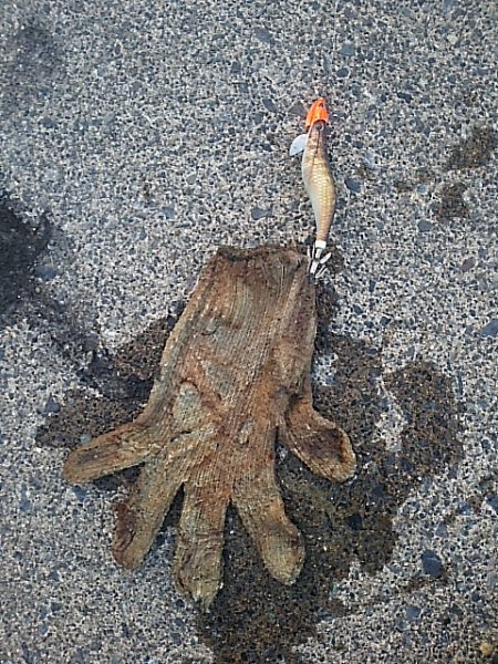 エソカッター？