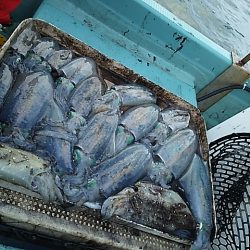 ウネリの中でティップラン