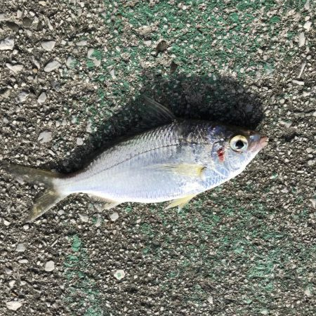 渋かったです。