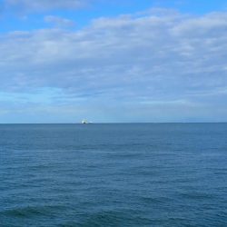 デイエギングは…