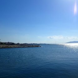 タケノコメバル