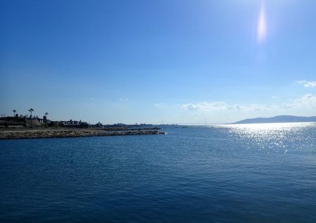 タケノコメバル