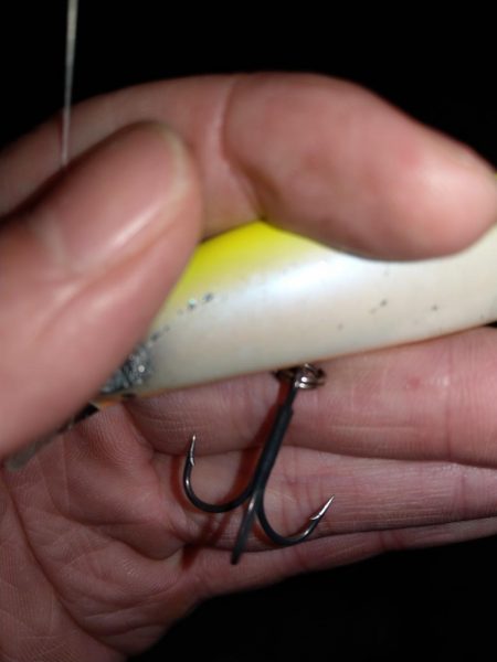 久しぶりのシーバスゲーム