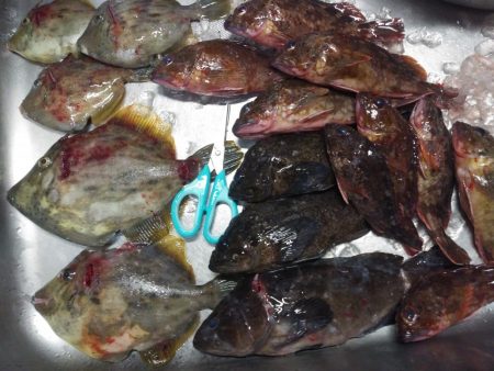 釣れないだろうな