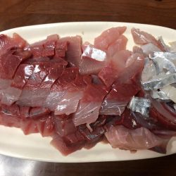 ベイトはイワシ