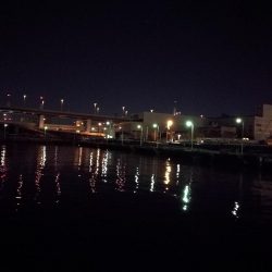 南港フェリーヘチ釣り(何気に五目釣り達成!? 真チヌ、キビレ、ガシラ、メバル、ミニシーバス 釣果w)