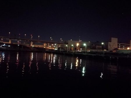 南港フェリーヘチ釣り(何気に五目釣り達成!? 真チヌ、キビレ、ガシラ、メバル、ミニシーバス 釣果w)