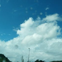 キジハタを求めて