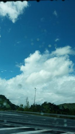 キジハタを求めて