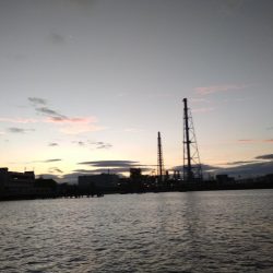 アジ鯵アジ鯵アジ鯵