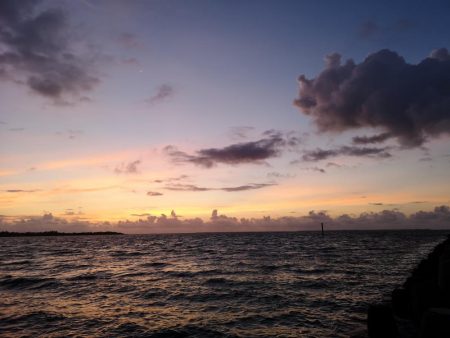 台風明け　早朝トップでゴマフエダイ
