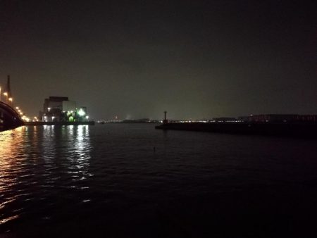 小雨降る南港カモメ大橋ヘチ釣行 (キビレ36cm,31cm、メジナ、釣果有り)