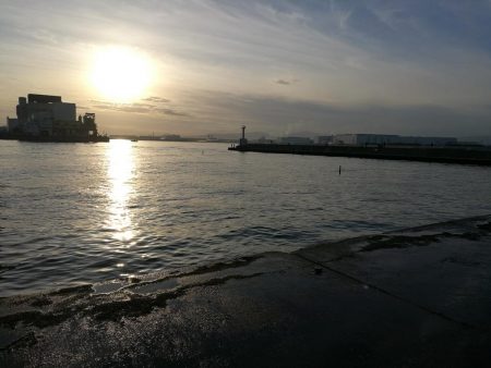 南港カモメ大橋 釣行 (爆釣!タチウオ釣り、F3~F3.5 釣果)