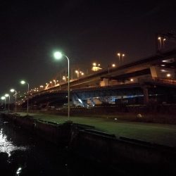 南港フェリーヘチ釣り （やや寒くなったヘチ釣りでキビレ40cm,31cm、ガシラ 釣果有り）