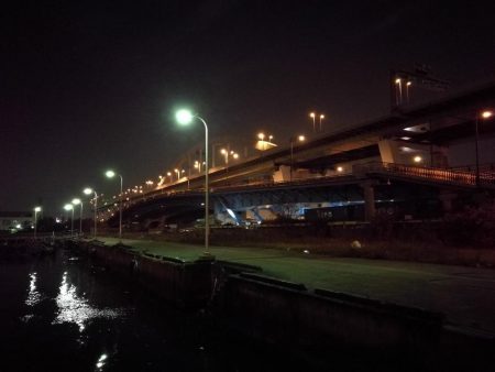 南港フェリーヘチ釣り （やや寒くなったヘチ釣りでキビレ40cm,31cm、ガシラ 釣果有り）