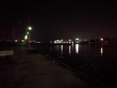 南港フェリーヘチ釣り （キビレ35cm、30cm 小真チヌ 釣果有り）