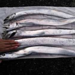 根掛かり王の逆襲