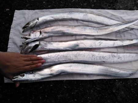 根掛かり王の逆襲