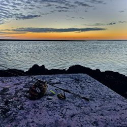 朝マズメの短時間勝負、ターポン