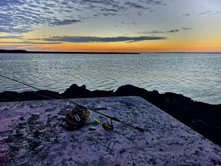 朝マズメの短時間勝負、ターポン