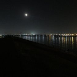 久しぶりの旧江戸川!