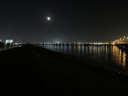 久しぶりの旧江戸川!