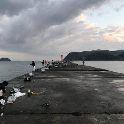 戦略通りにゲットできた