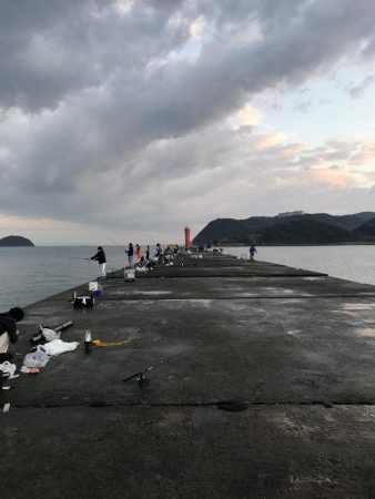 戦略通りにゲットできた