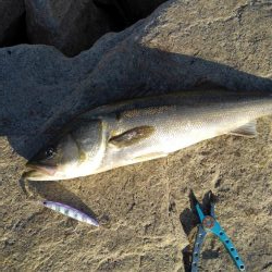 人多すぎ！マナーが…！