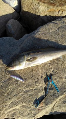 人多すぎ！マナーが…！