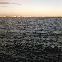 ライトショアジギング