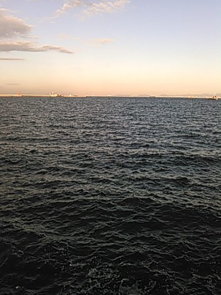 ライトショアジギング