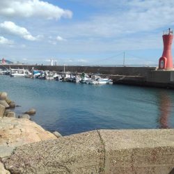 台風後のデイエギング