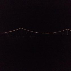 まだまだ渋い( ´-ω-)