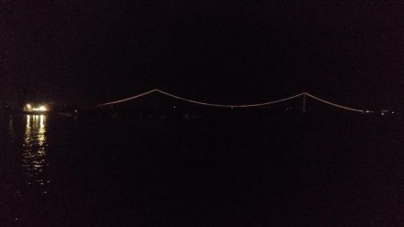 まだまだ渋い( ´-ω-)